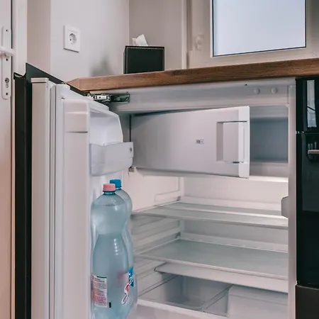 Zajos Noisy Vincent Apartamento *