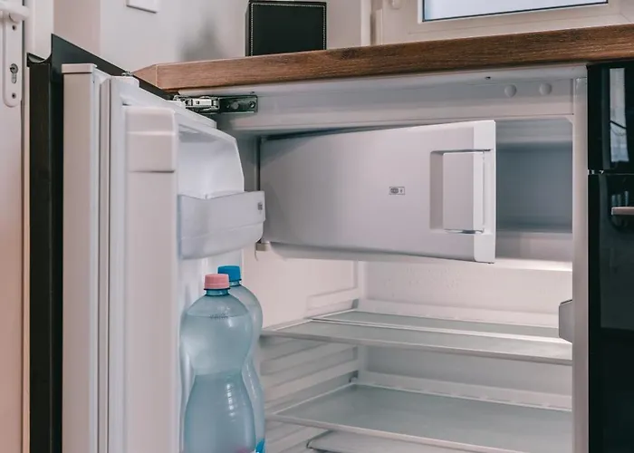 Zajos Noisy Vincent Apartamento *